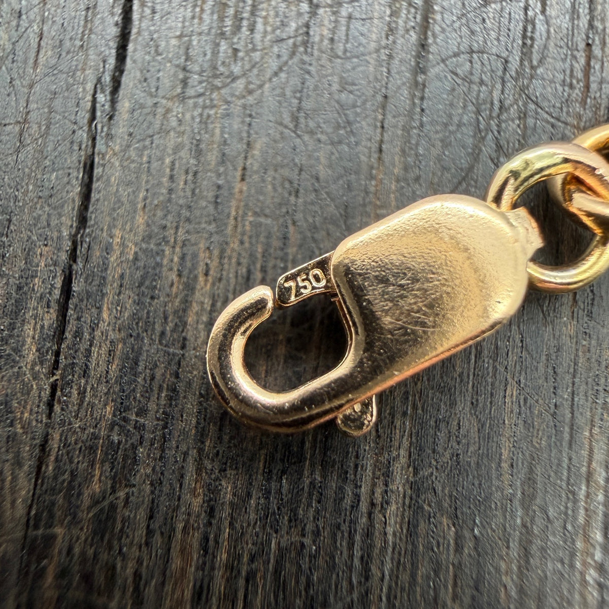 Bamboo Chain Necklace